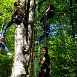 Hêtre en Forez - grimpe d'arbres