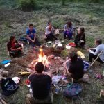 Hêtre en Forez - grimpe d'arbres