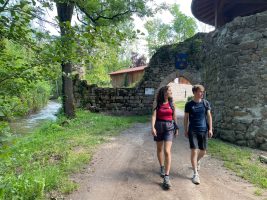 Site et jardin médiévaux de Donzy