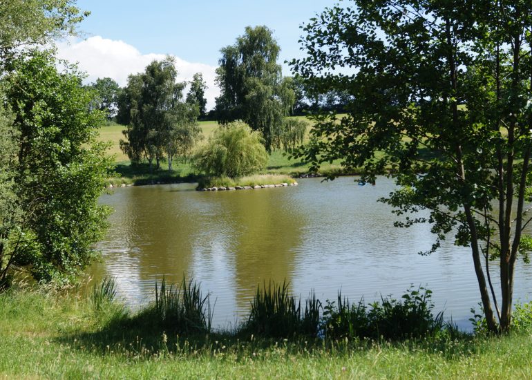 © Etang du Vernay_Saint-Martin-Lestra - OT Forez-Est