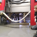 © La Ferme des Délices Foréziens_Saint-Cyr-les-Vignes - canva