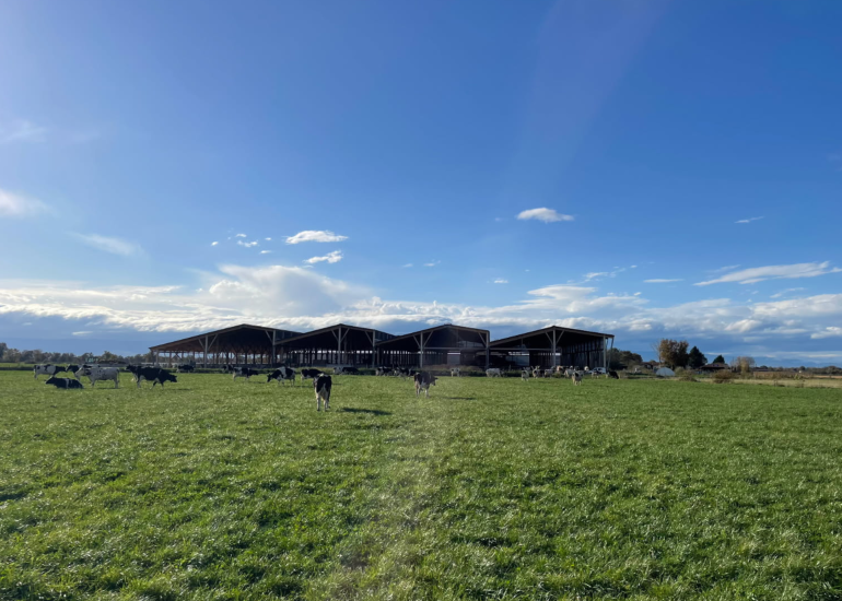 © La Ferme des Délices Foréziens_Saint-Cyr-les-Vignes - canva