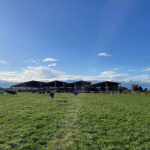 © La Ferme des Délices Foréziens_Saint-Cyr-les-Vignes - canva