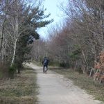 © Das Abenteuer der Schiene: Strecke für Wanderer, Reiter und Mountainbikes :St Marcellin - Estivareilles_Saint-Marcellin-en-Forez - Anne Massip