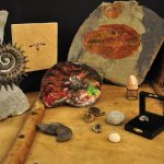 © Cabinet de Curiosités Joaillerie Taillandier_Montbrison - maison Taillandier