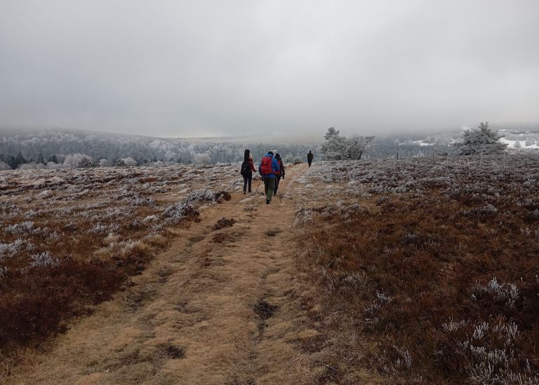 © "Contes et traditions foréziennes" au bord du feu - Rando-raquettes - Lucie Verdier