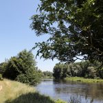 © Sentier de la forêt vierge_Montrond-les-Bains - Hubert Genouilhac - Photupdesign