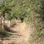 © Sentier La campagne gildarienne_Saint-Jodard - OT Forez-Est