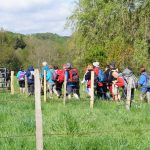 © GR®89 - Chemin de Montaigne : Saint-Martin-Lestra / Poncins_Saint-Martin-Lestra - OT Forez-Est