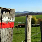 © GR®89 - Chemin de Montaigne : Saint-Martin-Lestra / Poncins_Saint-Martin-Lestra - OT Forez-Est