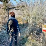 © GR®89 - Chemin de Montaigne : Saint-Martin-Lestra / Poncins_Saint-Martin-Lestra - OT Forez-Est