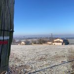 © GR®89 - Chemin de Montaigne : Saint-Martin-Lestra / Poncins_Saint-Martin-Lestra - OT Forez-Est