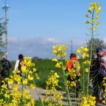 © GR®89 - Chemin de Montaigne : Saint-Martin-Lestra / Poncins_Saint-Martin-Lestra - OT Forez-Est