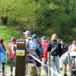 © GR®89 - Chemin de Montaigne : Saint-Martin-Lestra / Poncins_Saint-Martin-Lestra - OT Forez-Est