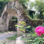 © Site et jardin médiévaux de Donzy_Salt-en-Donzy - OT Forez-Est