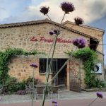 © La Pause Marolaise - Forezian pub/Grocery - MB