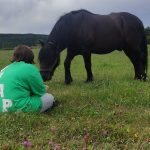 © Equestrian Farm 'Les Fougères' - patricia Valentin