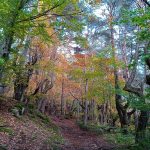 © Au Chapio du Soleillant_Verrières-en-Forez - Clavelloux Patrick et Yvette