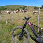 © Au Chapio du Soleillant_Verrières-en-Forez - Clavelloux Patrick et Yvette