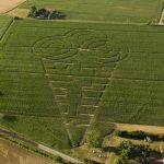 Labyrinthe de maïs_Saint-Cyr-les-Vignes