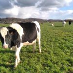 Visite - Dans les coulisses de vos desserts glacés_Saint-Cyr-les-Vignes