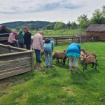 © Celebrate your birthday at the honey house_Estivareilles - Lionel BEYSSAC