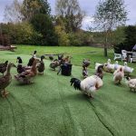 © Celebrate your birthday at the honey house_Estivareilles - Lionel BEYSSAC