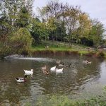 © Celebrate your birthday at the honey house_Estivareilles - Lionel BEYSSAC