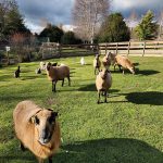 © Miellerie La Grange aux abeilles_Estivareilles - Lionel BEYSSAC