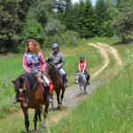 © Equestrian Farm 'Les Fougères' - OT Loire Forez