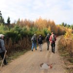 © Circuit "L'aventure du Rail continue" - Anne M - OT Loire Forez