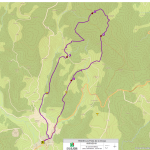 © Les Prats-de-la-Chau - Conseil départemental du Puy-de-Dôme