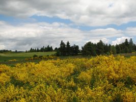 Sentier des Croix et des hauts d'Apinac