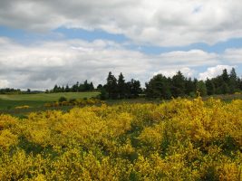 Circuit des Croix et hauts d'Apinac