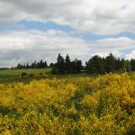 © Fonfrède - Apinac - AM - OT Loire Forez