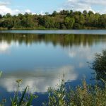 Etang de Vidrieux