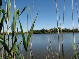 Rund um den Teich  David - Wege am  Loireufer