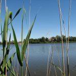 © Rund um den Teich  David - Wege am  Loireufer - AM - OT Loire Forez