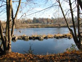 Sentier de St-Cyprien - Sentiers des Bords de Loire