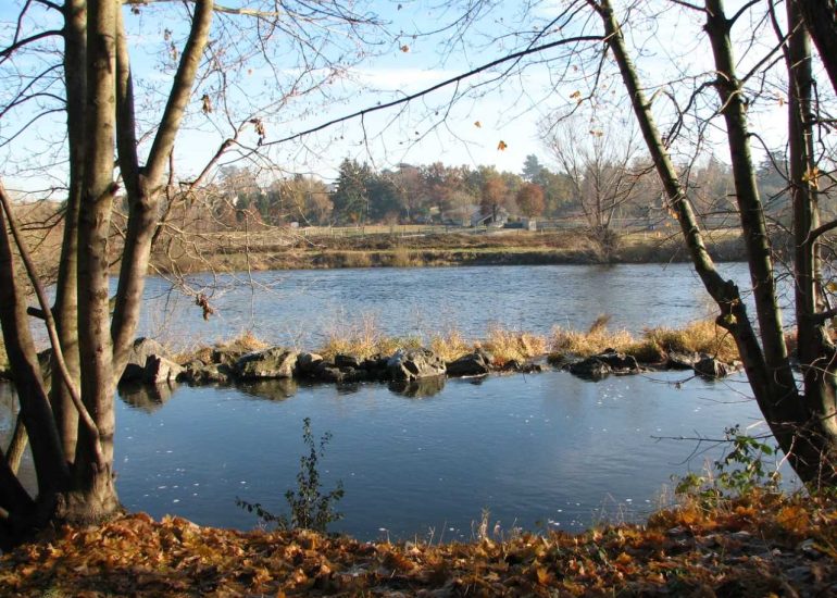 © Sentier de St-Cyprien - Sentiers des Bords de Loire - AM - OT Loire Forez