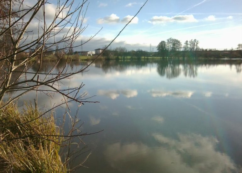 © Etang de Savigneux - Mairie de Savigneux