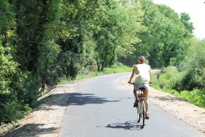 Canoë Loire Aventure - Location de Vélo / VTT