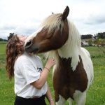 le cheval notre miroir