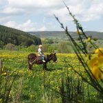 © Randos pays'ânes - hiking in the company of a donkey - Les 3 M en vadrouille