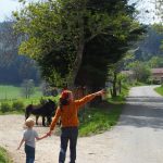 © Randos pays'ânes - hiking in the company of a donkey - Les 3 M en vadrouille