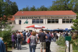 Fête des aromatiques