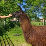 La ferme de Grandris