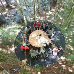 Un anniversaire dans les arbres avec Hêtre en Forez