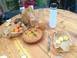 Un anniversaire dans les arbres avec Hêtre en Forez