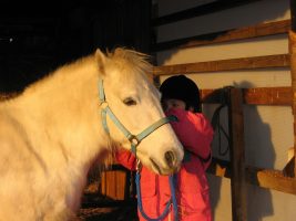 Une journée autour du poney
